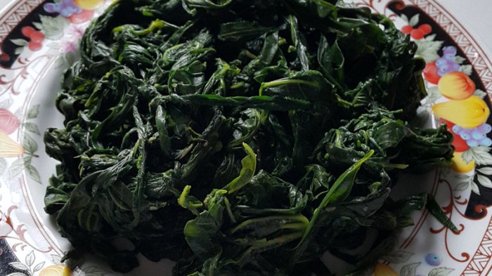 makanan padang