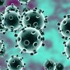 virus b 1.1.7.