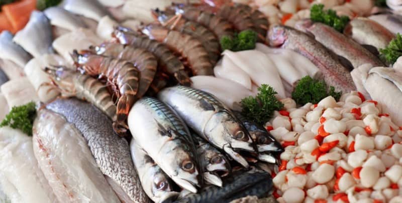anemia yang disebabkan oleh kekurangan zat besi
