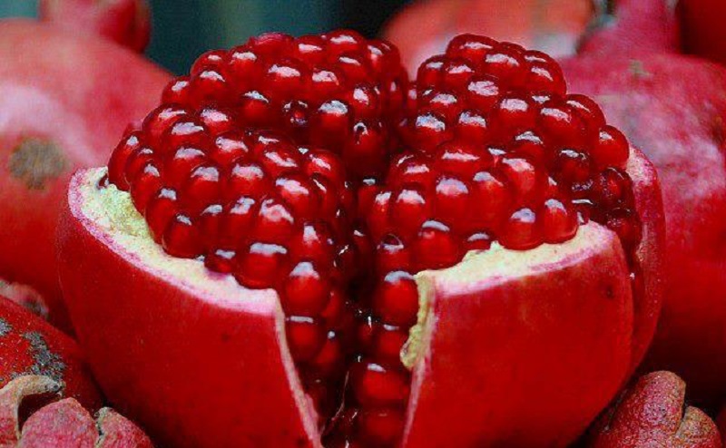 buah penambah darah