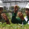 Kemenag Gelontorkan Rp 30 Miliar untuk Riset Dosen