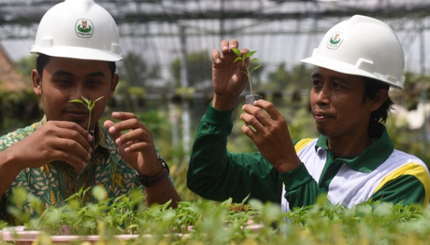 Kemenag Gelontorkan Rp 30 Miliar untuk Riset Dosen 