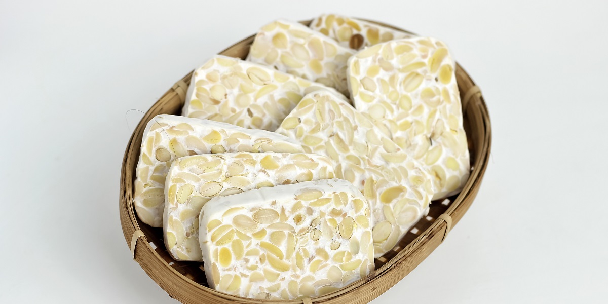 kalori tempe rebus