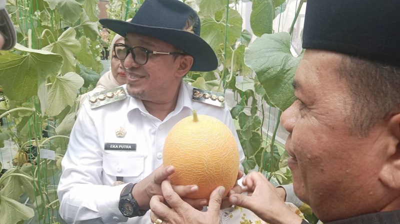 melon