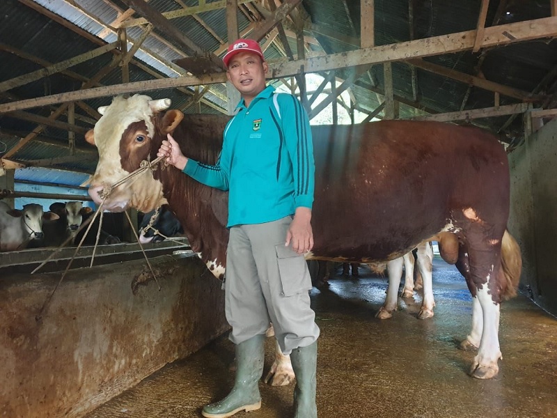 sapi2
