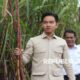 opm-remehkan-kemampuan-gibran,-minta-tim-perunding