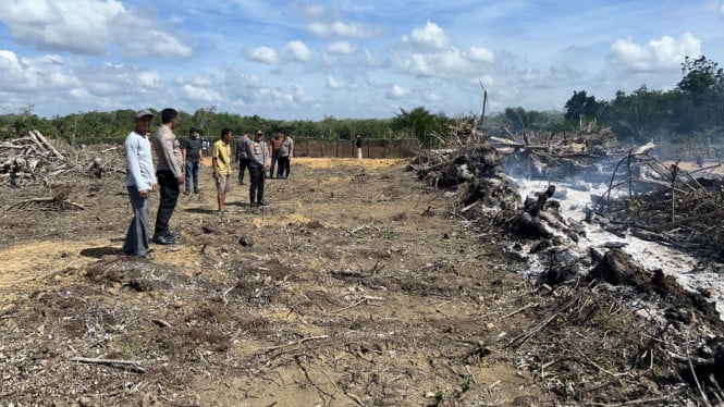 supar-sengaja-bakar-lahan-karet-buat-dijadikan-kebun-kelapa-sawit,-ditangkap-polisi