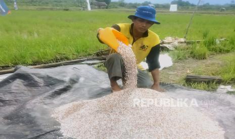 Hadi Bertani, Raup Ratusan Juta Rupiah