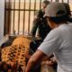 jenazah-anaknya-tidak-diautopsi-karena-tak-ada-dokter-forensik,-ayah-prada-lucky-ngamuk