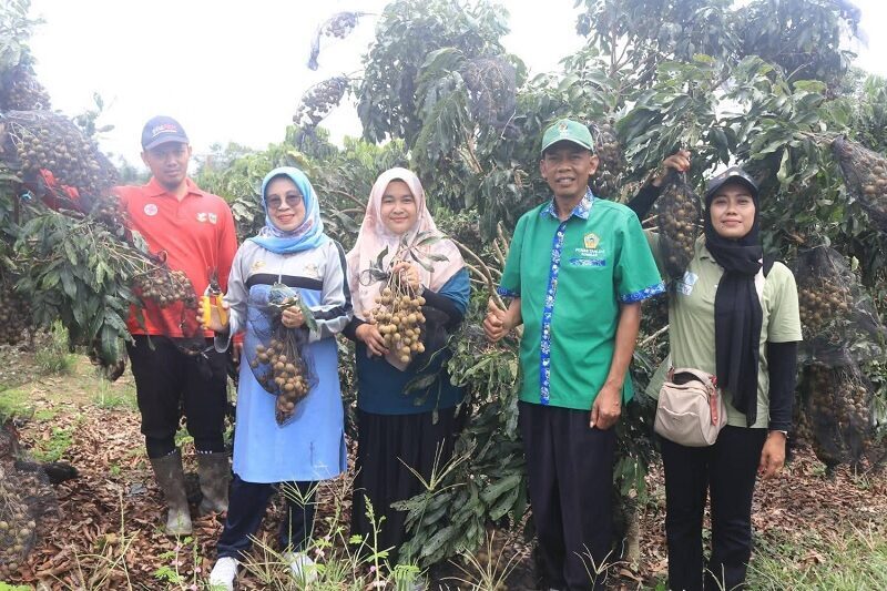 Wabup Apresiasi Petani Dharmasraya Tingkatkan Ketahanan Pangan Lokal