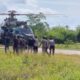 6-prajurit-kopassus-terkepung-di-yalimo-papua-dievakuasi,-3-luka-parah