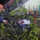 angin-kencang-padang-tumbangkan-pohon,-timpa-rumah-dan-motor