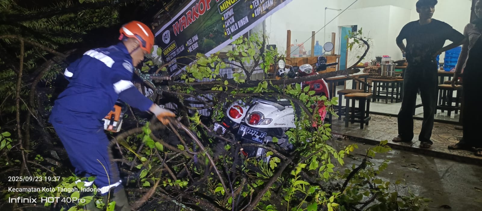 Hujan Angin Robohkan Pohon di Padang, Akses Sempat Terhambat