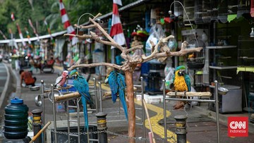 Sentra Fauna Lenteng Agung Rampung, Pedagang Barito Relokasi