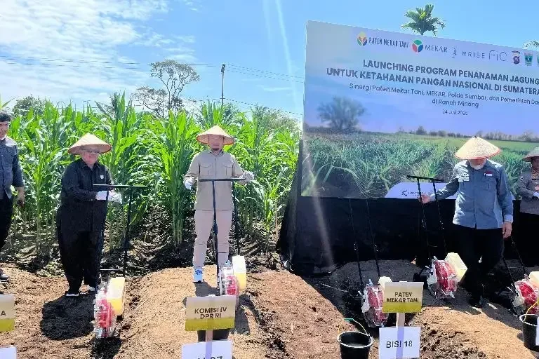 Hari Tani, Rahmat Saleh Dorong Kebijakan Hilirisasi Gambir di Sumbar
