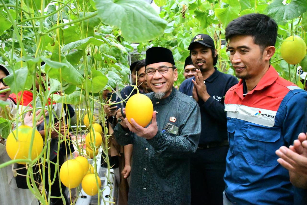 Wawako Padang Apresiasi Panen Melon Hidroponik, Dukung Pertanian Modern Generasi Muda