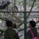 wisata-malam-ragunan,-petugas-satpol-pp-disiagakan