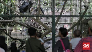 Ragunan Gelar Wisata Malam, Satpol PP Jakarta Siaga Jaga