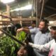 kambing-etawa-jadi-harapan-baru-ekonomi-warga-kampung-padayo