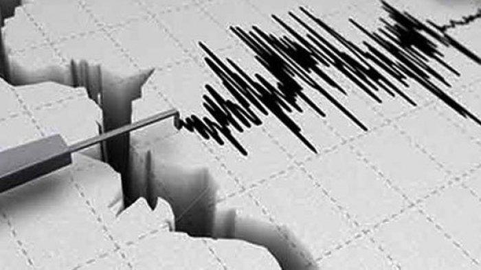 BMKG Catat 28 Gempa Guncang Sumbar dalam Sepekan