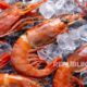 as-kembalikan-152-juta-ton-udang-senilai-rp21-miliar-ke-indonesia
