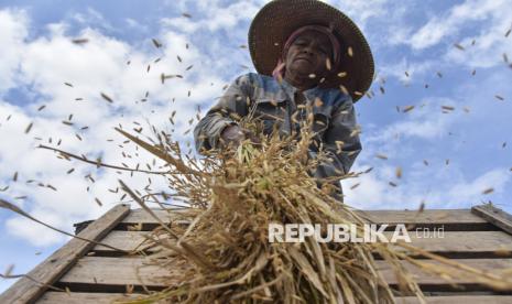 Beras Deflasi, Inflasi Oktober 2025 Nasional Mereda