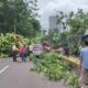 pohon-tumbang-timpa-mobil-dan-atap-jalur-bawah-tanah-mrt-senayan