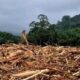 fakta-mengerikan-terungkap!-kayu-gelondongan-hanyut-di-banjir-sumatra-ada-bekas-gergaji,-siapa-dalangnya?