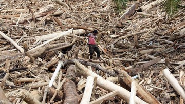 Pemerintah Hentikan Operasi Perusahaan Pascabanjir Tapanuli Selatan