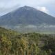 menhut-turun-ke-seblat,-restorasi-konservasi-gajah-dimulai