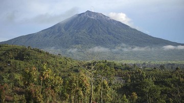 menhut-turun-ke-seblat,-restorasi-konservasi-gajah-dimulai