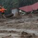greenpeace-peringati-pemerintah-taubat-ekologis-jangan-hanya-mandek-di-wacana