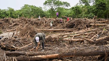 Kemenhut Bersihkan Kayu dan Lumpur, Pulihkan Sumatera Pasca Banjir