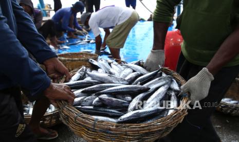 KKP Optimalkan Pelayanan Pelabuhan, Jaga Stok Ikan Aman Saat Nataru