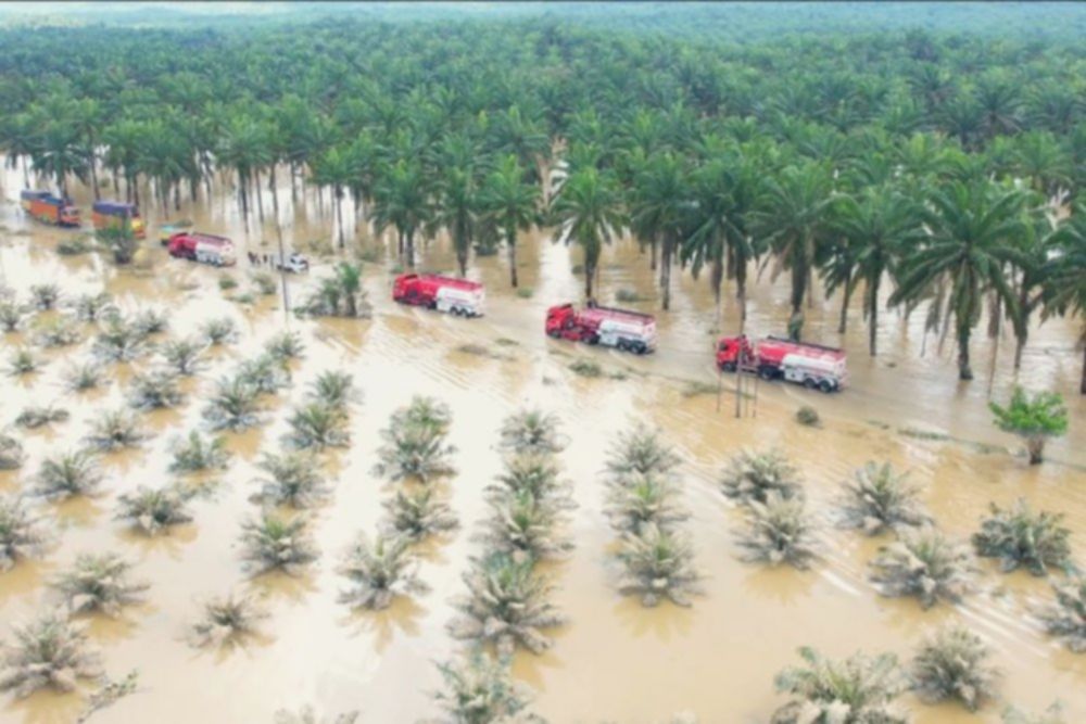 Dugaan 12 Perusahaan Perparah Banjir Sumatra Picu Sorotan Publik
