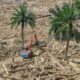 bareskrim-mulai-usut-kasus-kayu-gelondongan-penyebab-banjir-di-aceh