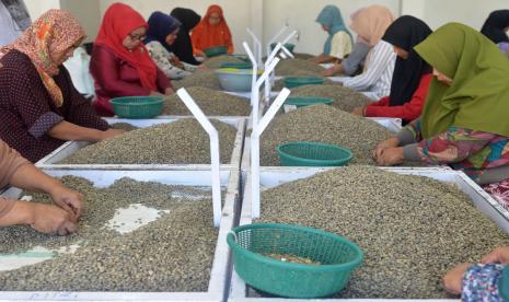 belasan-ribu-hektare-kebun-kopi-aceh-tengah-rusak-akibat-banjir-dan-longsor