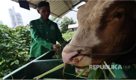 proyek-strategis-nasional-bisa-dorong-pembukaan-lapangan-pekerjaan-baru