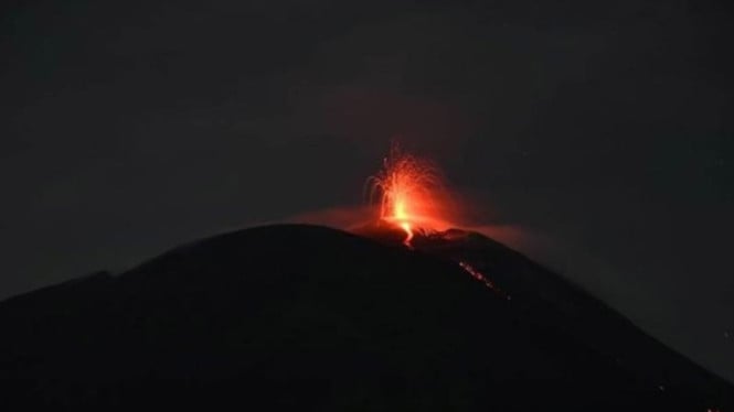 erupsi-meningkat-tajam,-gunung-ile-lewotolok-di-ntt-naik-status-jadi-siaga