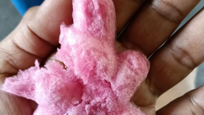 polisi-pastikan-es-gabus-dan-es-kue-aman-dan-layak-dikonsumsi,-tak-berbahan-spons