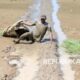 menteri-pu:-total-indikasi-anggaran-penanganan-bencana-sumatera-rp-74-triliun