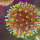 meski-nihil-kasus,-kemenkes-ingatkan-tetap-waspada-virus-nipah