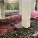 pengakuan-mengejutkan-siswa-pelaku-ledakan-sman-72-jakarta