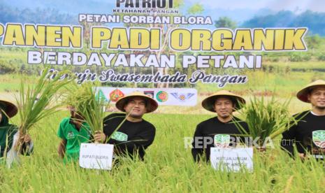 ansor-panen-padi-organik-dan-tanam-3.000-pohon-kelapa-di-blora