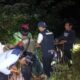 beruang-madu-mengamuk-di-pasaman,-tiga-petani-padi-terluka