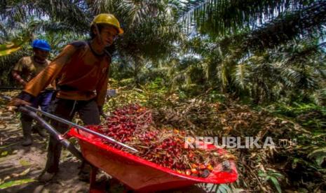 beasiswa-anak-anak-petani-sawit-ciptakan-sistem-industri-keberlanjutan