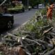 pohon-tumbang-timpa-motor-dan-halte-di-jaksel,-3-orang-luka