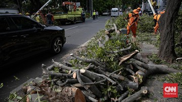 pohon-tumbang-timpa-motor-dan-halte-di-jaksel,-3-orang-luka