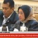 menpan-rb-tegaskan-pppk-tak-boleh-dipecat-jika-kontraknya-belum-habis