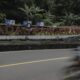 cadas-pangeran-akses-penghubung-bandung-sumedang-terputus-longsor